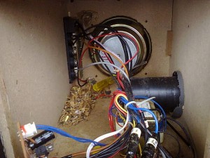 rats nest inside a subwoofer enclosure with an inbuilt power amplifier