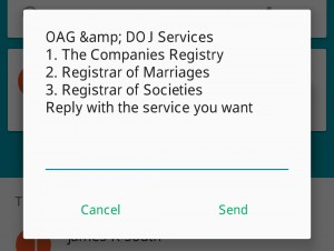 kenya-business-name-search-sms-reply-3
